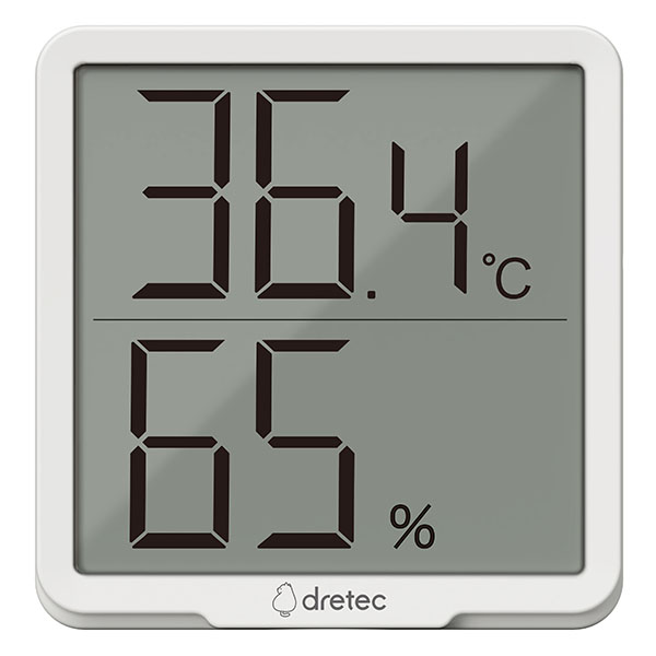 �ǥ����벹���ٷס֥�ơ��⎥����ץ�� 