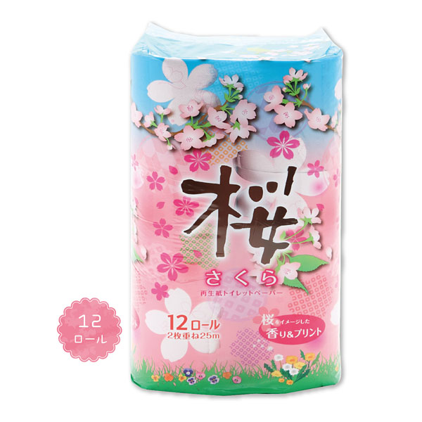 ���ȥ���åȥƥ��å���12������(���֥�)