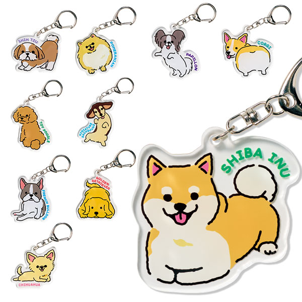 �ǥ����ɥå� ������륭���ۥ����