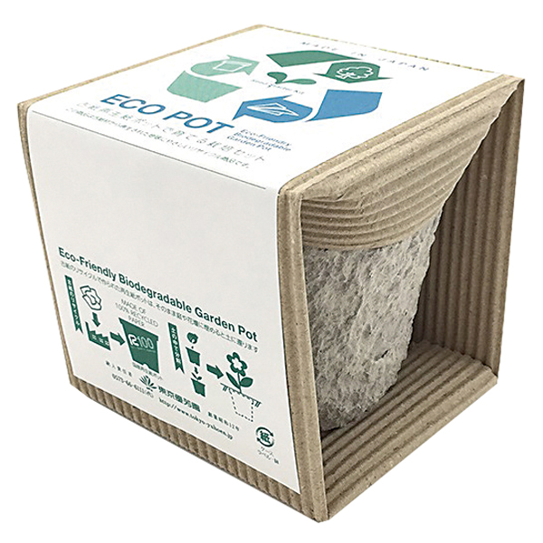 ECO�ݥåȡ�M��