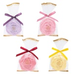 �֥롼��󡡥������Х��ե�������������