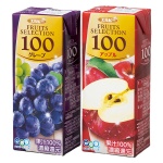 ӡե롼ĥ쥯100󥸥塼