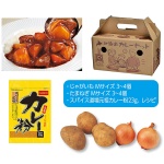 �̳�ƻ��� �ץ쥷�㥹���졼���å�