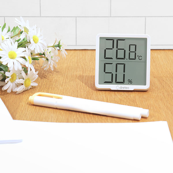 �ǥ����벹���ٷס֥�ơ��⎥����ץ�� 