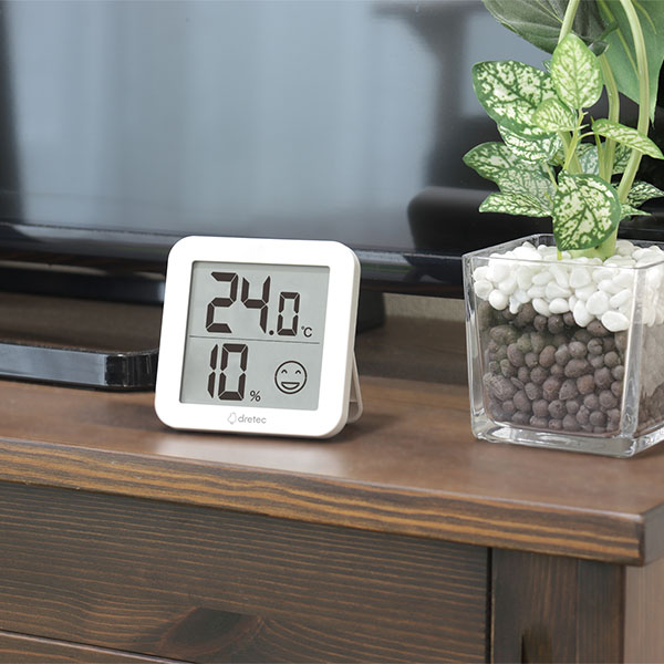 �ǥ����벹���ٷס֥�ơ��⡦�饤�ȡ�