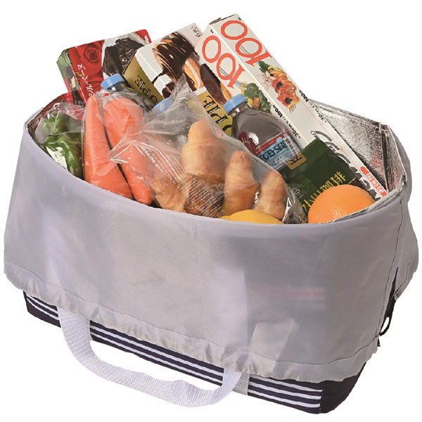 �����ݲ��쥸�����Хå��ʥܡ���������