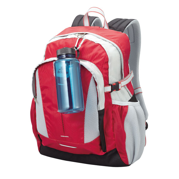 եܥȥ600ml(ӥ)
