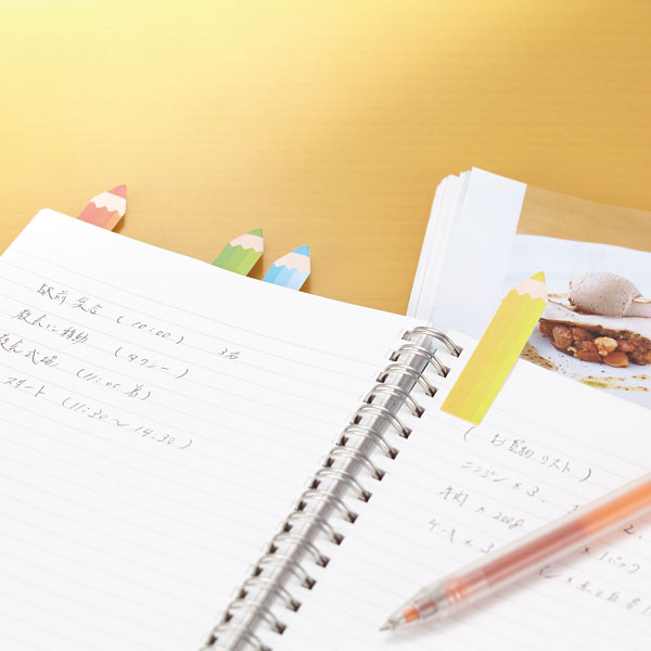 ����ɮ���դ���