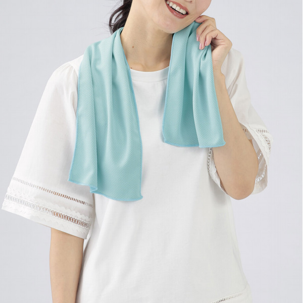 ���������� �����륿����