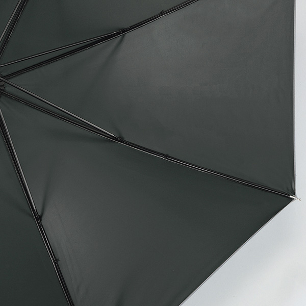 ���ץ�顡��������Ĺ��