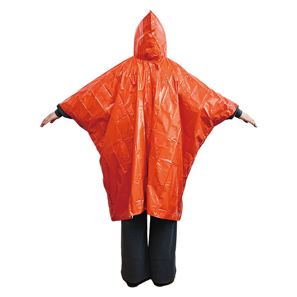 Ƭ�����ɴ��ݥ����