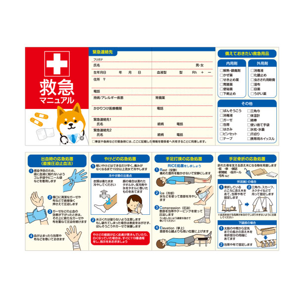 �����ɥ������ν��µߵ�10�����å�