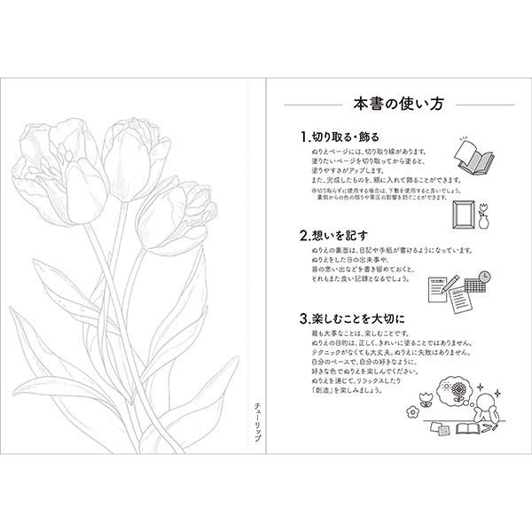 ������2�糧�å� �ڤ���Ǿ�ȥ졪��ͤΤ̤ꤨ