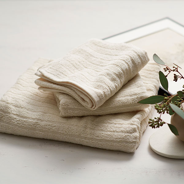 ���󥻥ץ����<�����ޡ���ǧ��> �������˥å��Х�������