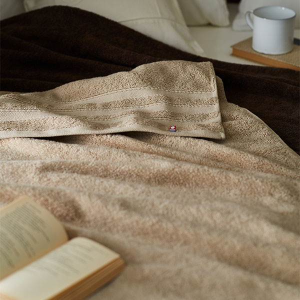 �����ƥʥ֥� THE HOTEL Ķ��Ƚ�Х������륱�å�