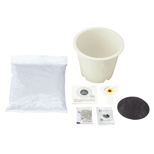 �ߥˤҤޤ����ݥ��å�