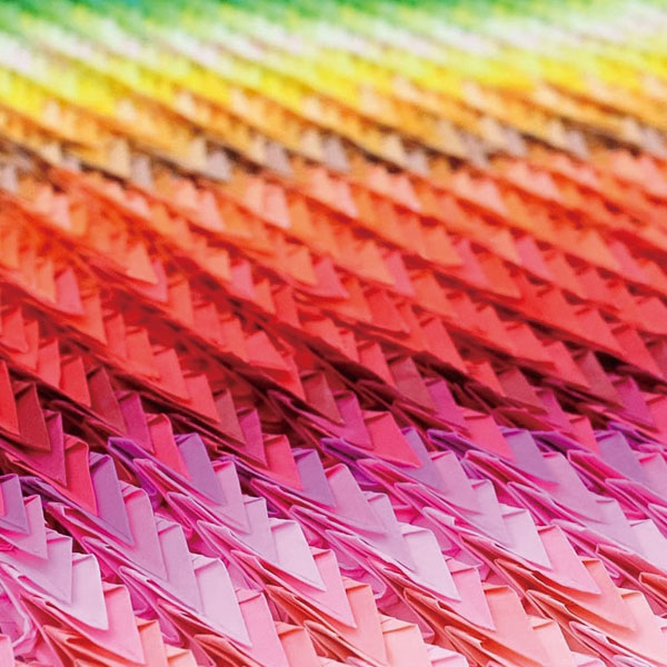 100꤬ 55cm