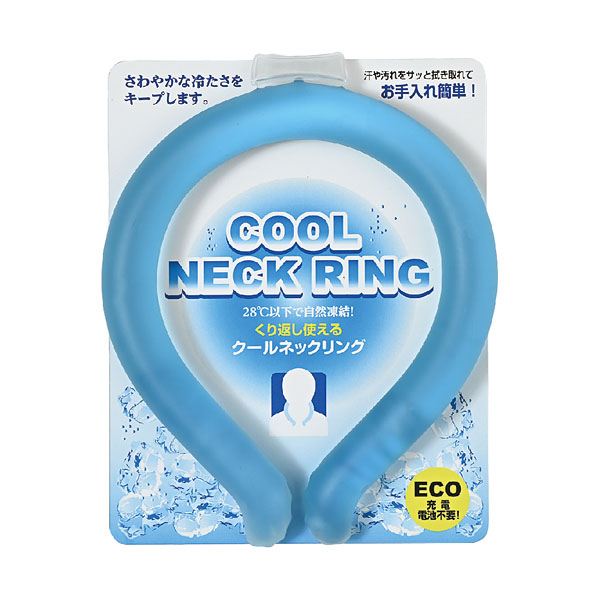 ������ͥå����