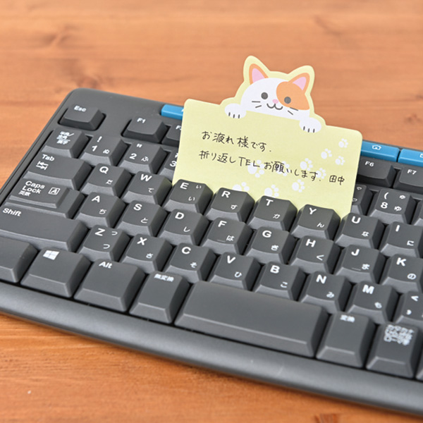 ���ˤ��������åȤդ���(20����)