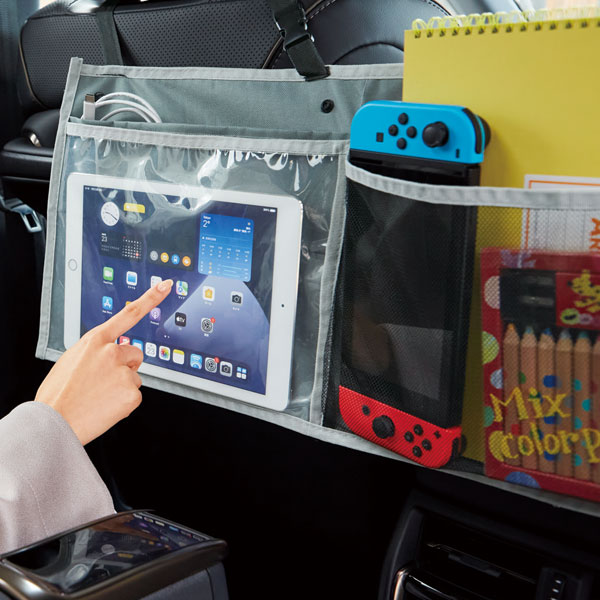 �����˥� �Хå��ˤʤ��Ǽ���󥰥ݥ��å�