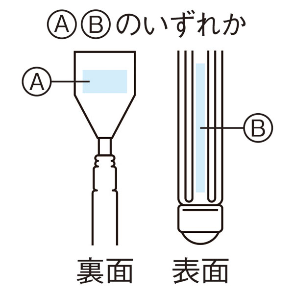 ���ͤε� ���Ӥ�!2WAY¹�μ�