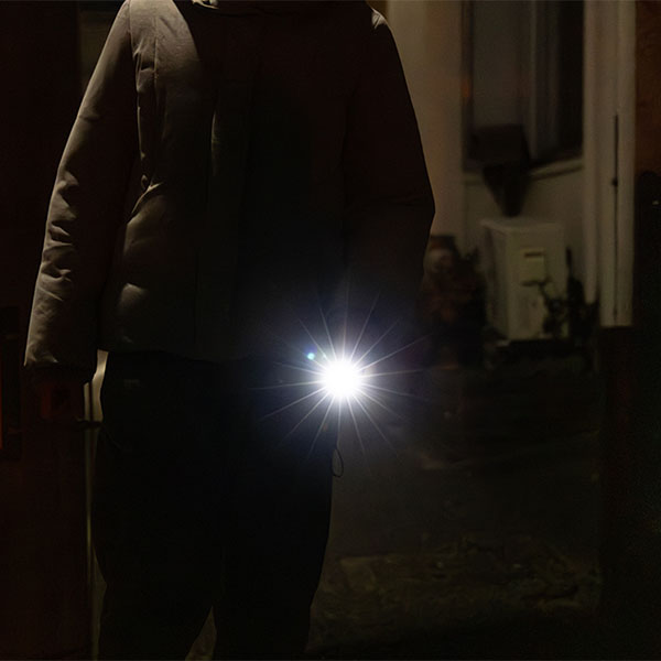 ���ӥ��顼��&�饤��