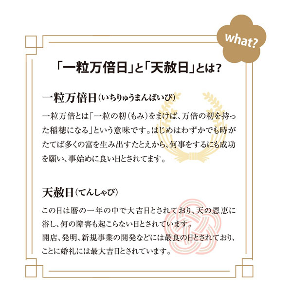 γ