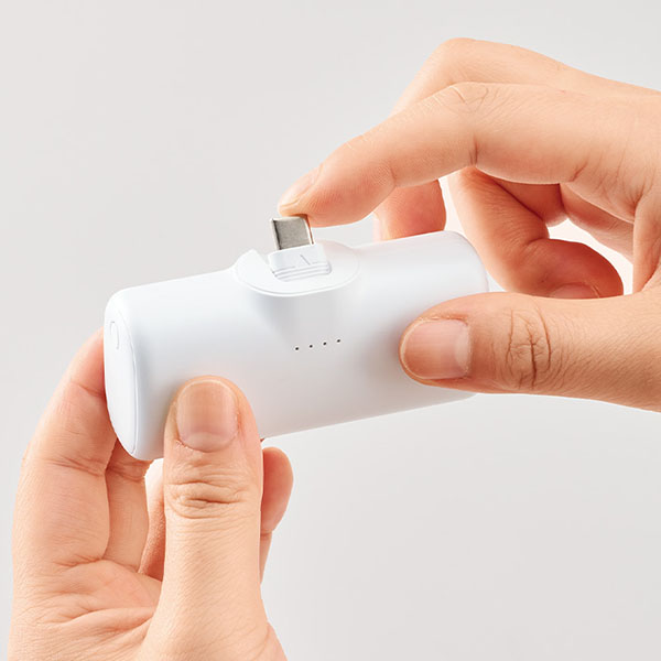 ����ץ�����쥯�ȥ�Х�����㡼���㡼4000