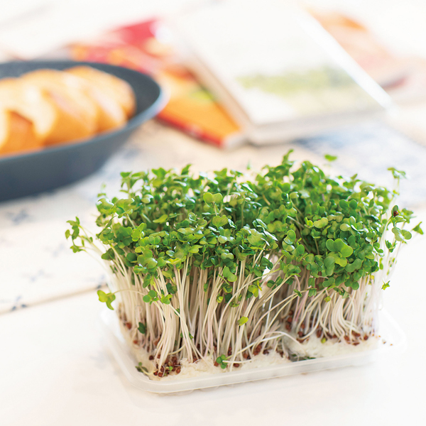 ���ץ饦�ȥ֥å�