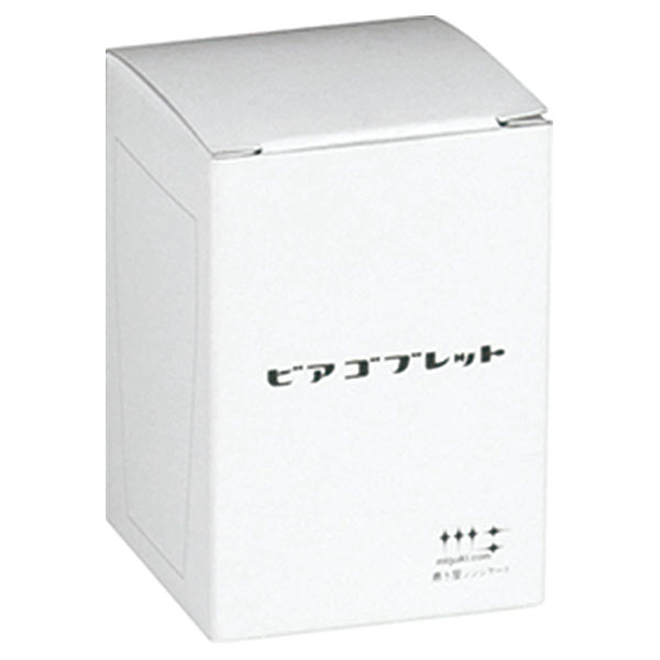 �ӥ����֥�åȥ���֥顼 250cc