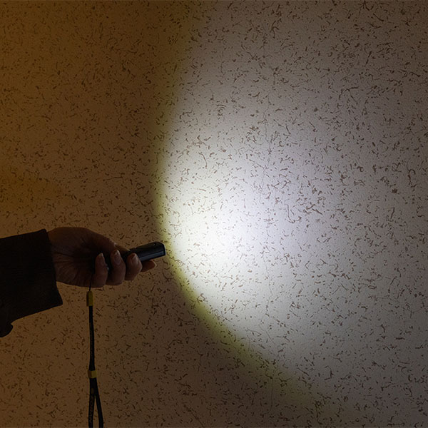 ���ӥ��顼��&�饤��