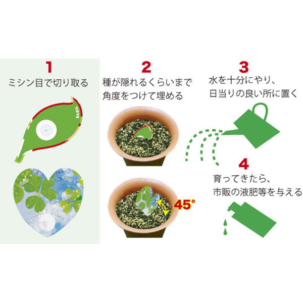 ���դ���奫������(�Х���)