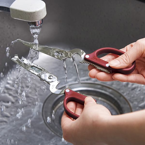 8in1¿��ǽ�Ϥ���