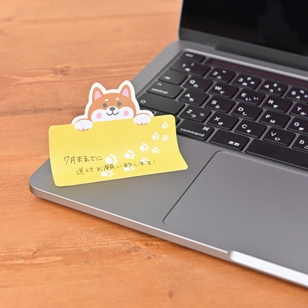 ���ˤ��������åȤդ���(20����)