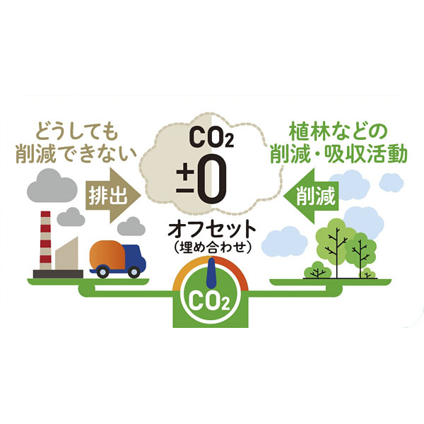 �����ܡ���ڥ� #CO2�ӽи���