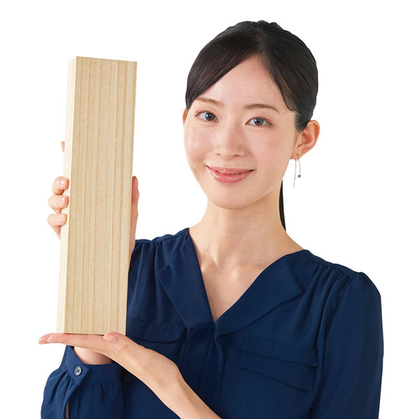 �����륹�ƥ�쥹��������